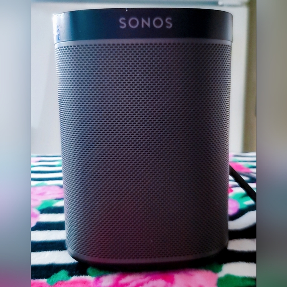 Sonos Gray Portable Speaker